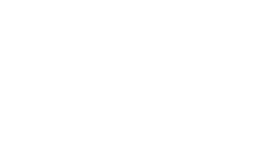 Ford Motorsport 2